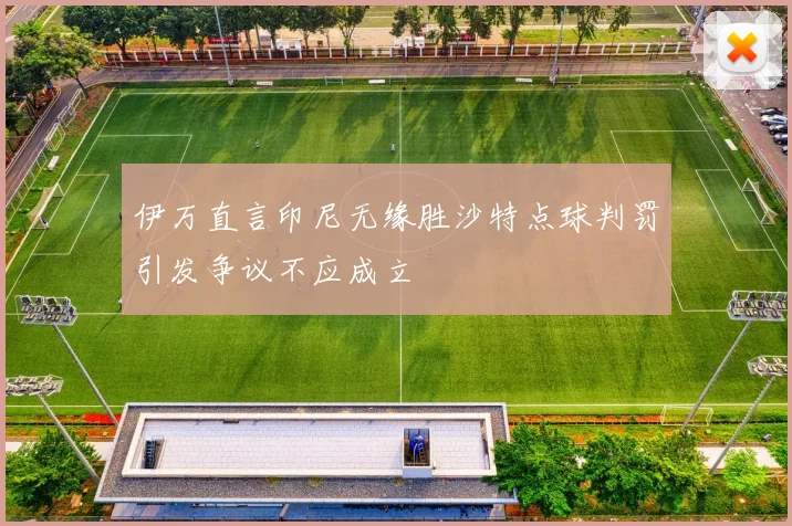 伊万直言印尼无缘胜沙特点球判罚引发争议不应成立