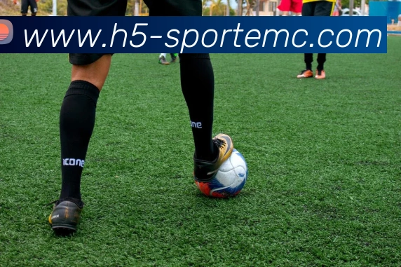 易倍体育发展历程